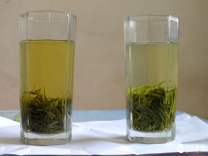 好茶自由她的价值