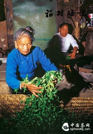 压箱底普洱茶