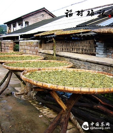 压箱底普洱茶