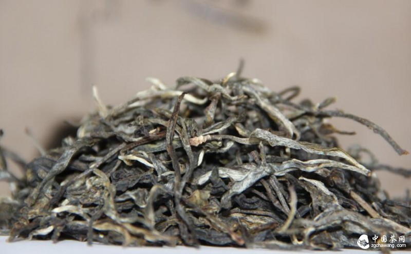 景迈普洱茶生茶