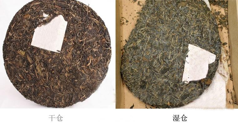 董玥说茶：普洱茶干仓和湿仓的区别