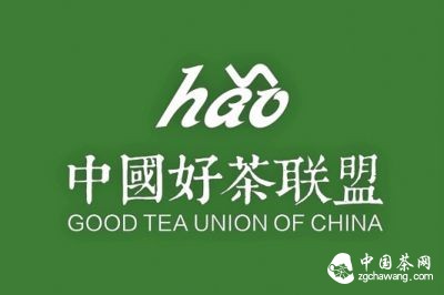 联盟合影