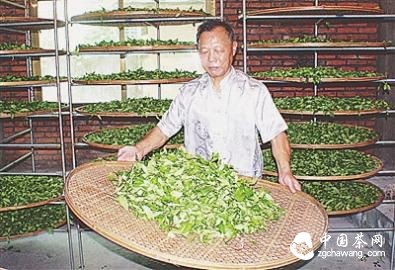 机械制茶：也科技也传统
