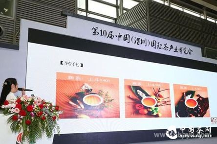 (通过具体图片展示斗记普洱不同时期的不同转化特点)