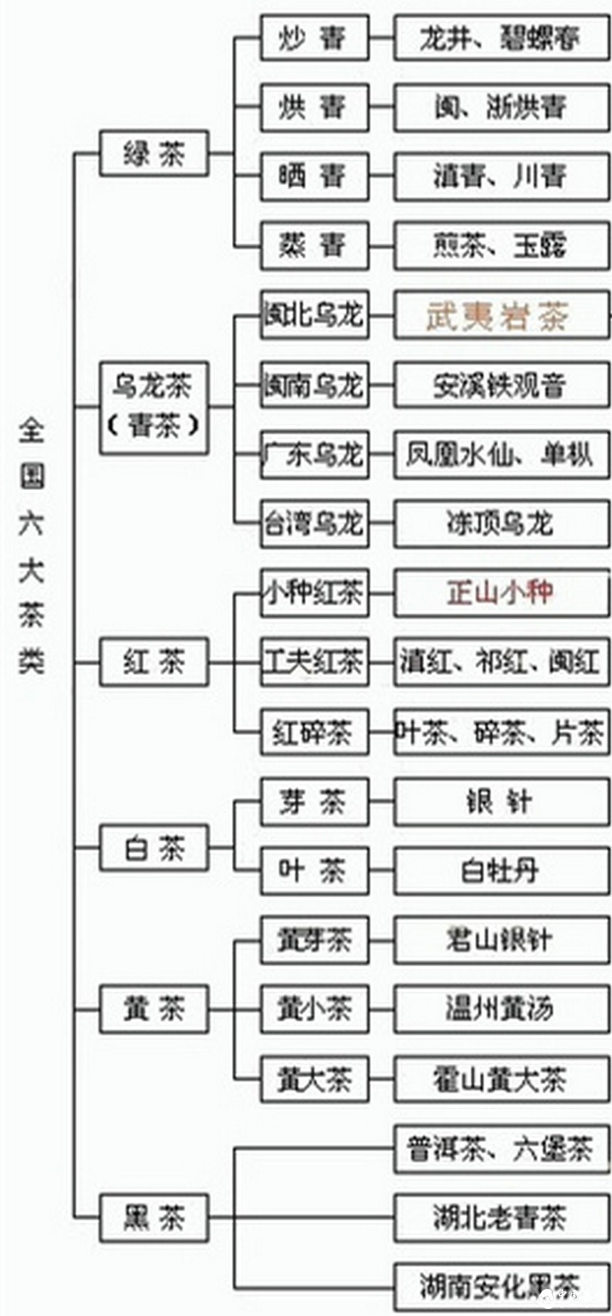 假如普洱茶的是个萝卜