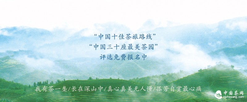 中国十佳茶旅路线