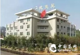 深度：乌龙茶压饼是历史的创新还是闹剧？