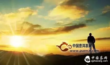 深度：乌龙茶压饼是历史的创新还是闹剧？