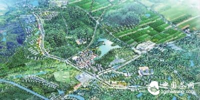 茶乡小镇金井规划图