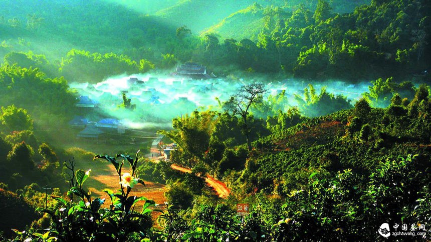 中国普洱茶第一县—勐海组团参加2015中国茶业交易会