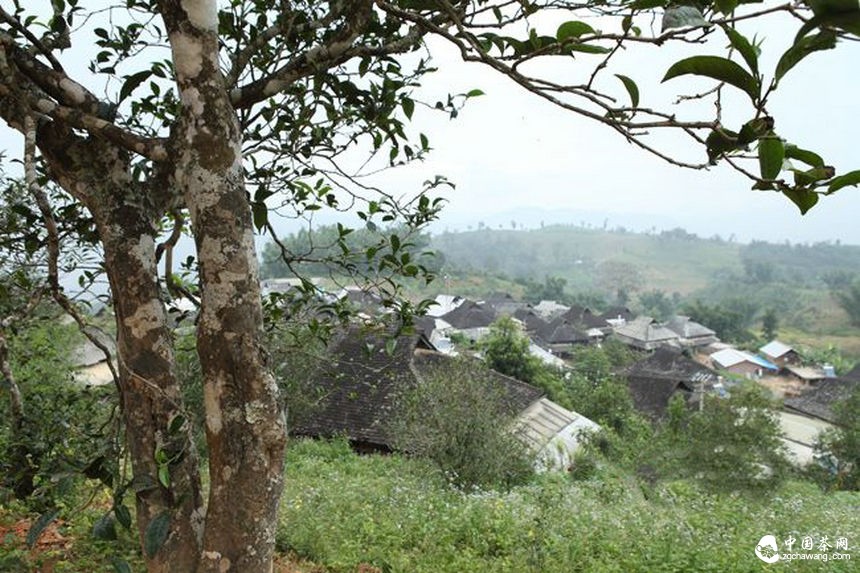 中国普洱茶第一县—勐海组团参加2015中国茶业交易会