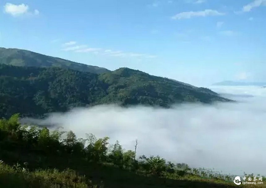 资金塑造了口感思维 莫让宣传成为全部