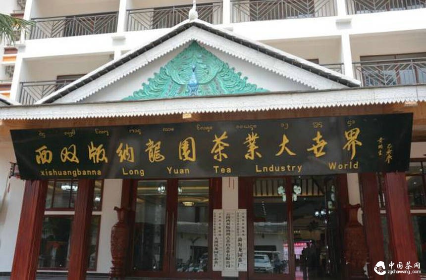 保护云南古茶树刻不容缓腾讯“99”公益日龙园在行动