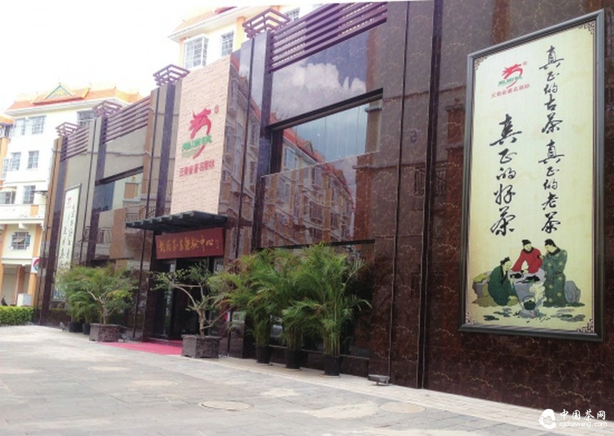 保护云南古茶树刻不容缓腾讯“99”公益日龙园在行动