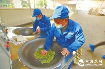 制作茶叶周瑜原