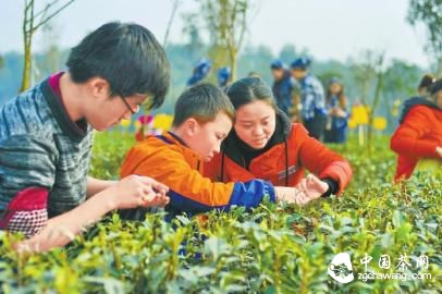 宜宾早茶节开园仪式