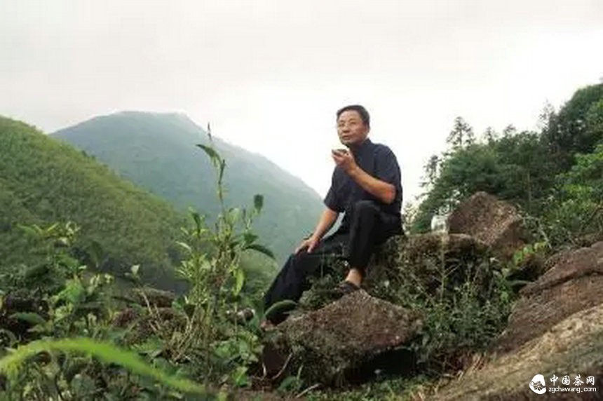 金骏眉后，他还在寻觅一杯百年前的茶&hellip;&hellip;