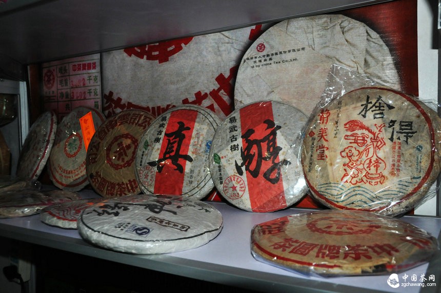 云南普洱游大马“镀金”