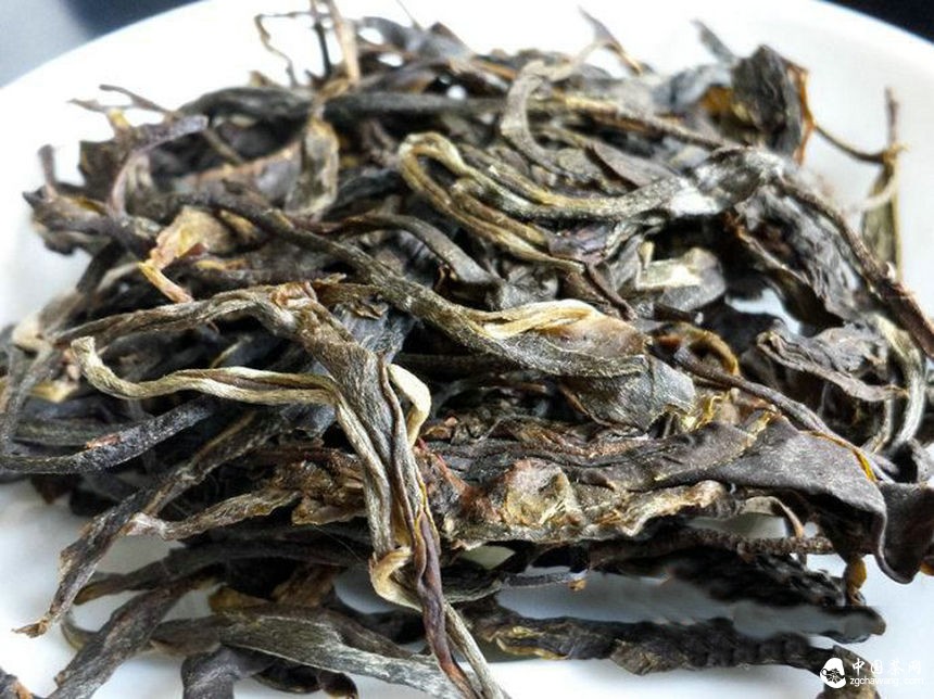 普洱茶投资分析