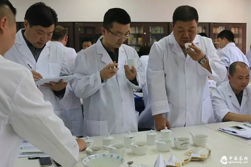 他们用心把一期普洱茶研修课程做到了极致