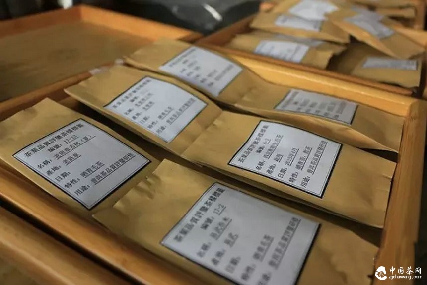 他们用心把一期普洱茶研修课程做到了极致