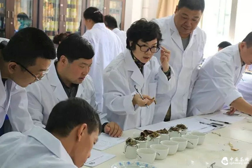 他们用心把一期普洱茶研修课程做到了极致