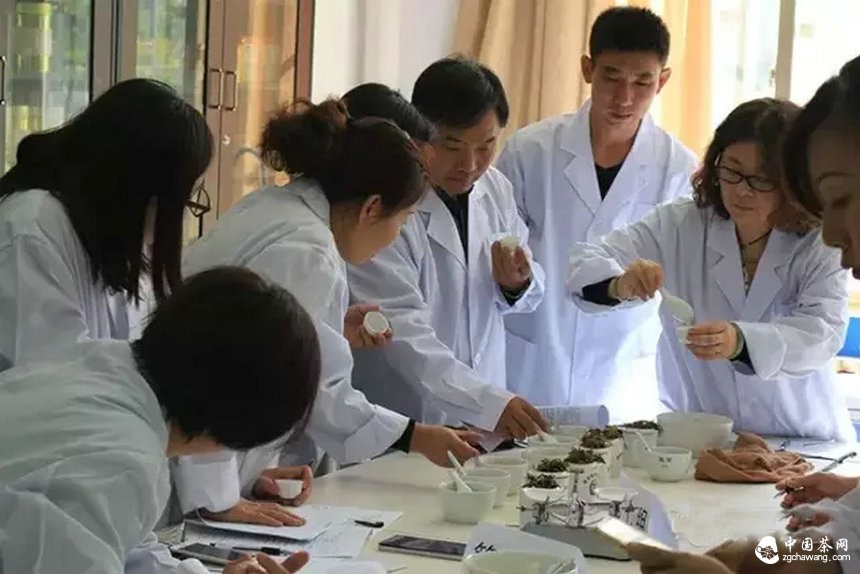 他们用心把一期普洱茶研修课程做到了极致