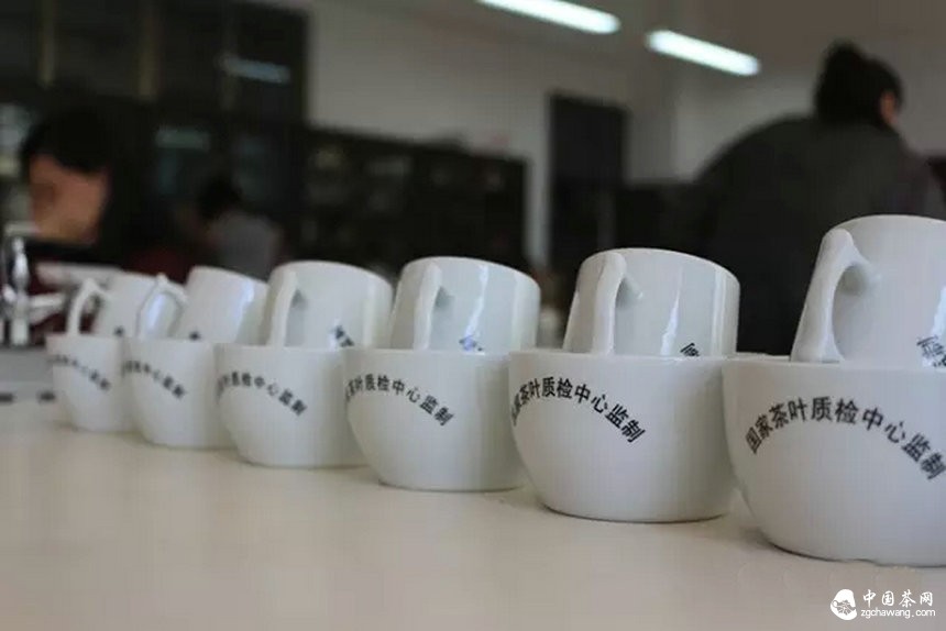 他们用心把一期普洱茶研修课程做到了极致