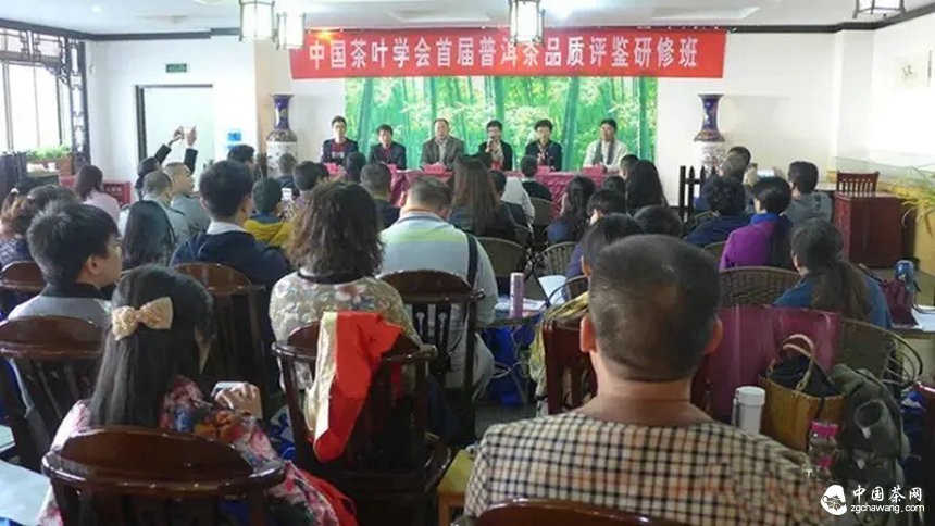 他们用心把一期普洱茶研修课程做到了极致
