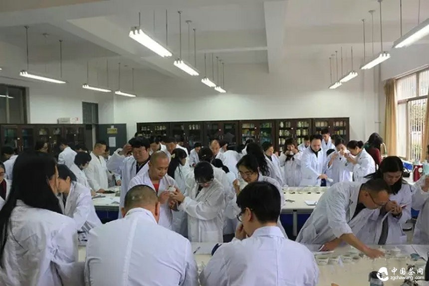 他们用心把一期普洱茶研修课程做到了极致