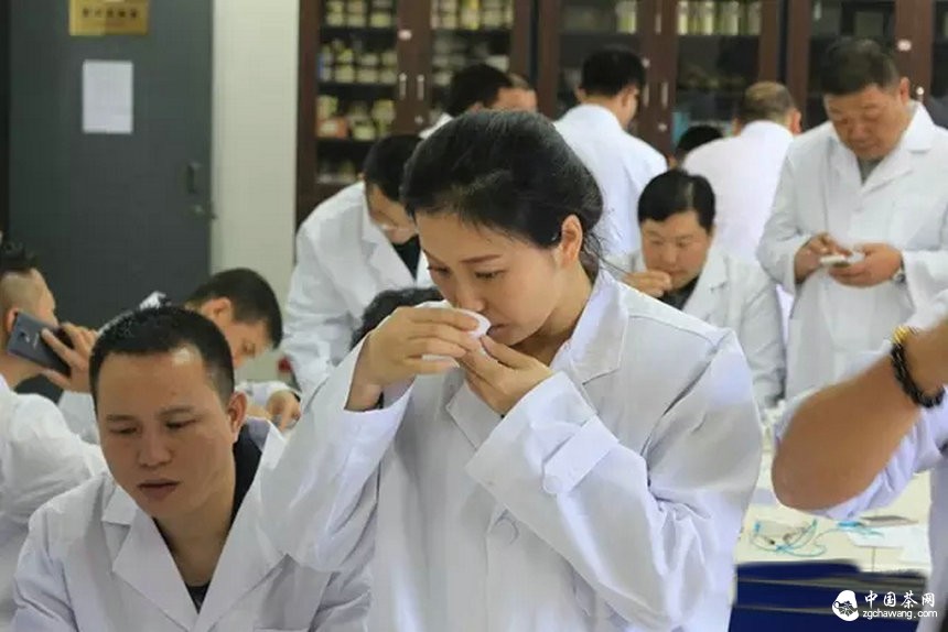 他们用心把一期普洱茶研修课程做到了极致