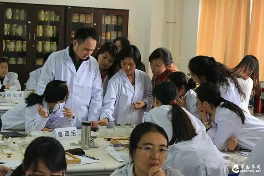 他们用心把一期普洱茶研修课程做到了极致