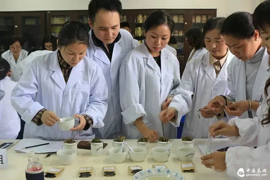 他们用心把一期普洱茶研修课程做到了极致
