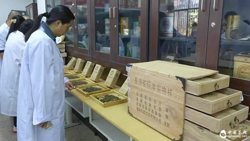 他们用心把一期普洱茶研修课程做到了极致