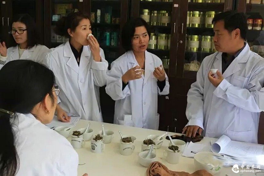他们用心把一期普洱茶研修课程做到了极致
