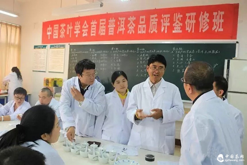 他们用心把一期普洱茶研修课程做到了极致
