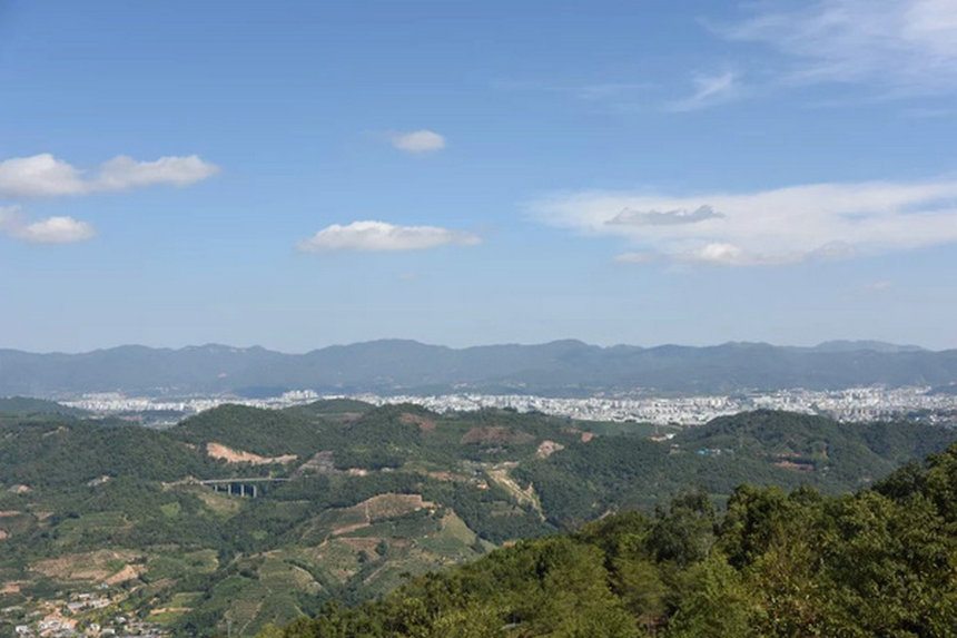 普洱茶的&ldquo;指数&rdquo;时代