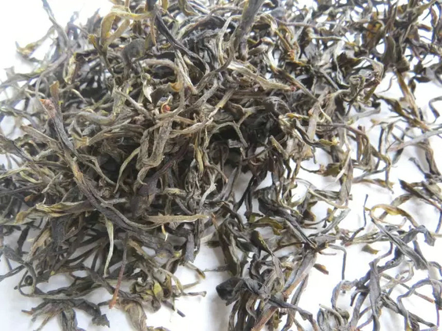 普洱茶汤里的锅蚂蚁“黑色点点”要如何处理和预防？
