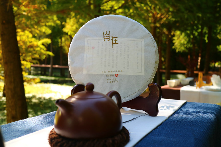 “南木九周年”:静享“繁华”之后的惬意时光