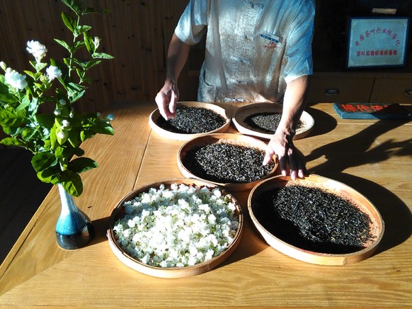 福州茉莉花茶的&ldquo;青春牌&rdquo;