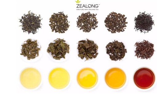 Zealong茶携手新西兰第一咖啡品牌