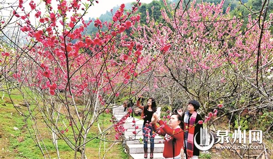 北溪桃花月底开 文旅节30日开幕 将有茶香歌舞表演