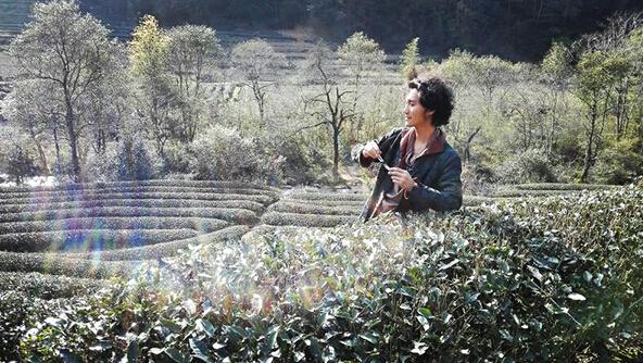 歌手田间作曲受追捧 《寻茶到黄村》唱夷岩茶山