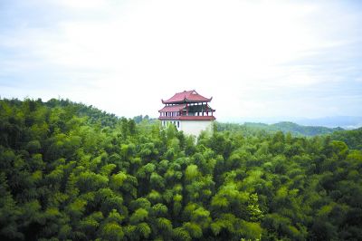 4月16日，桃江县桃花江竹海景区一望无际的竹海。