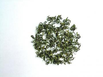 浙江丽水香茶再受瞩目