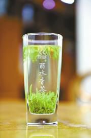 浙江丽水香茶再受瞩目