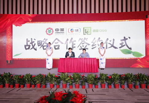 &ldquo;互联网+茶&rdquo;发现普洱新价值 助推普洱茶产业