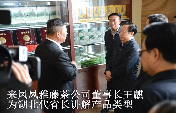 湖北代省长考察金祈藤茶&ldquo;精准扶贫&rdquo;示范工作1