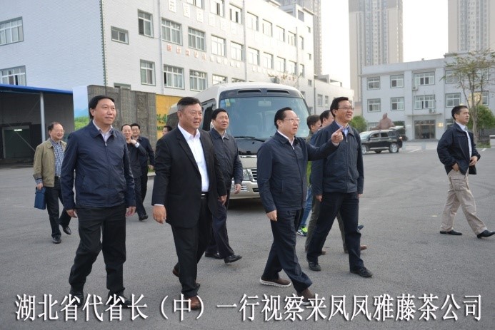 湖北代省长考察金祈藤茶&ldquo;精准扶贫&rdquo;示范工作