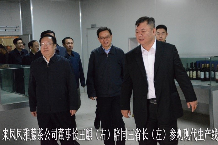 湖北代省长考察金祈藤茶&ldquo;精准扶贫&rdquo;示范工作3